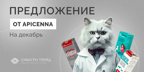 Предложение от APICENNA на декабрь