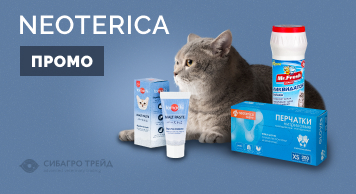 Промо на NEOTERICA