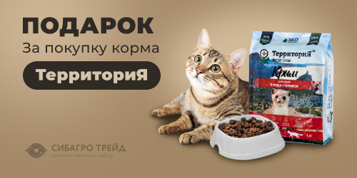 Подарок за покупку корма ТерриториЯ