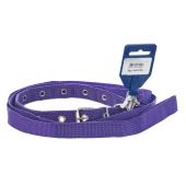 Комплект ошейник (до 45 см) и поводок (1,2 м), 2 см, ДАРЭЛЛ