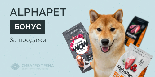 Бонус за продажи Alphapet