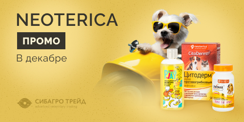 Промо на NEOTERICA в декабре