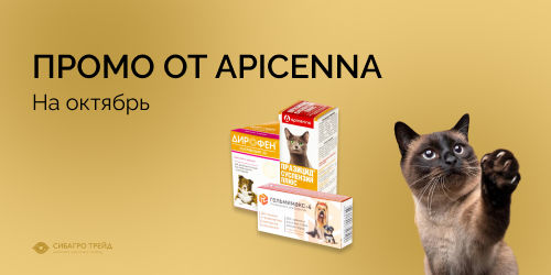 Промо от APICENNA на октябрь