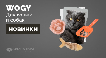 Новинки WOGY   