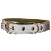 Ошейник брезентовый 25(1) светоотражающий, ZOOМИР