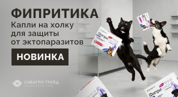 Новинка! Фипритика - капли на холку для защиты от эктопаразитов