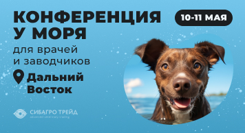 Конференция у моря для врачей и заводчиков 10 и 11 мая 2025 на Дальнем Востоке. Обучение и отдых на базе "Морской берег"