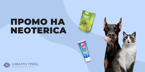 Промо на NEOTERICA