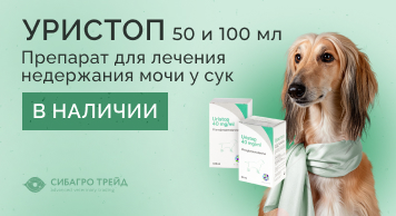 В наличии! Уристоп по 50 и 100 мл. Препарат для лечения недержания мочи у сук