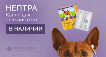 В наличии! Капли для лечения отита Нептра