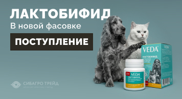 Поступление! Лактобифид в новой фасовке