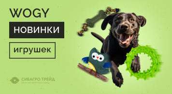 Новинки игрушек WOGY