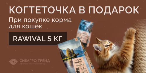 Когтеточка в подарок при покупке корма RAWIVAL 5 кг для кошек