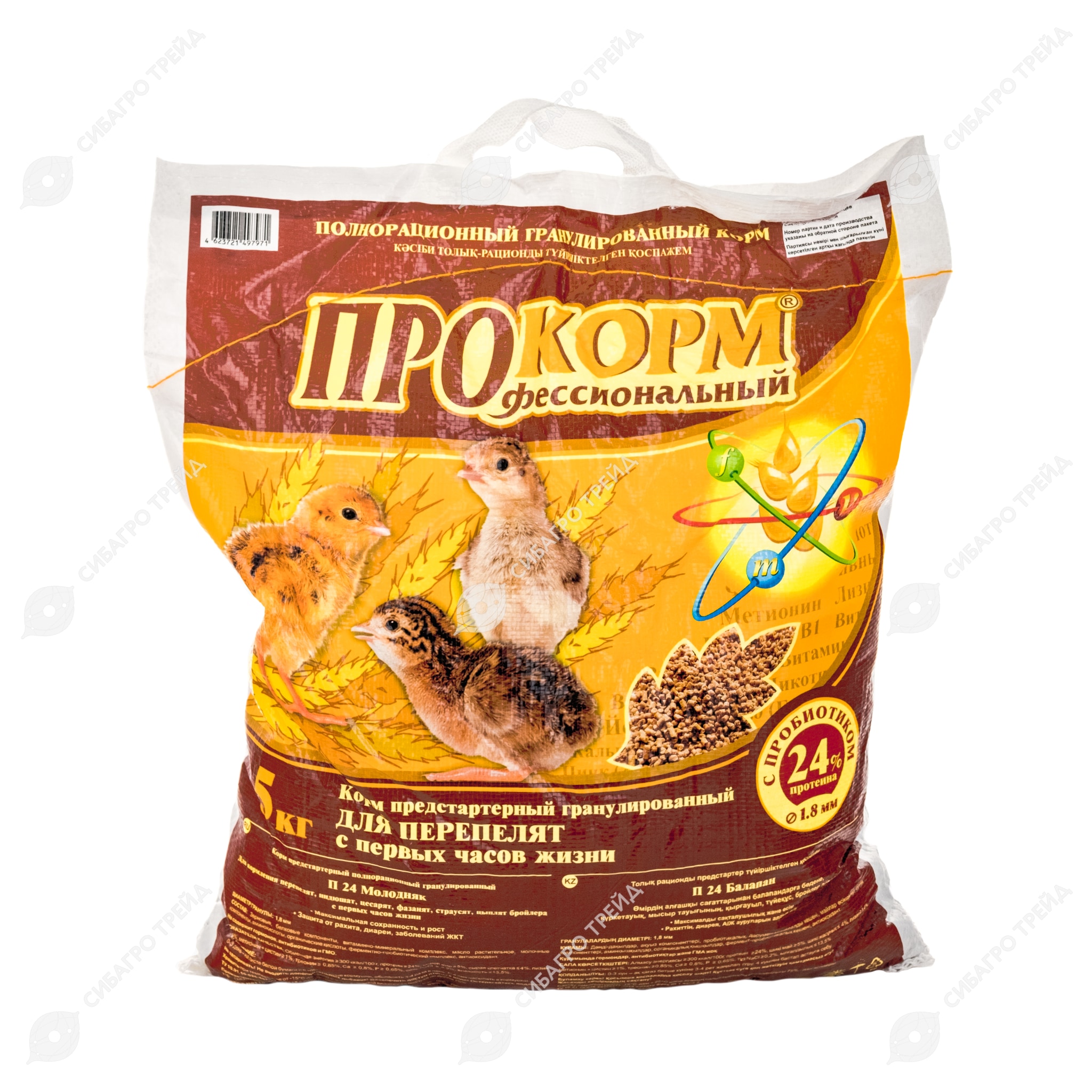 Жасырын камера сиськи