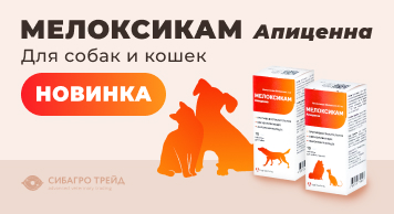 Новинка! Мелоксикам Апиценна для собак и кошек