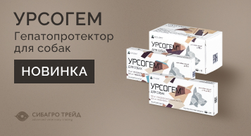 Новинка! Урсогем - гепатопротектор для собак и кошек