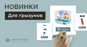 Новинки для грызунов