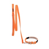 Набор для собак s-RS поводок (120 * 1,5 см)+ошейник, микс, NUNBELL