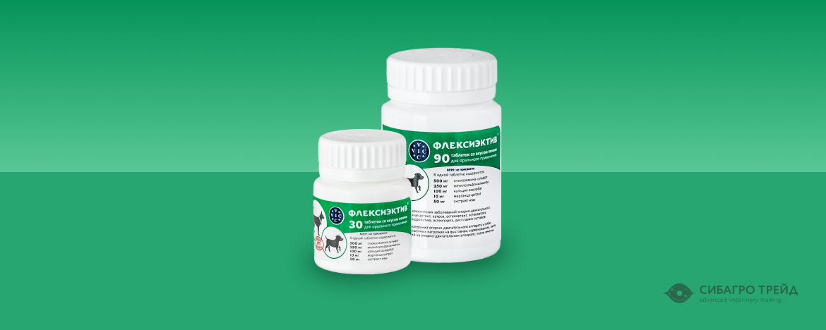 Новинка! Флексиэктив - хондропротектор для орального применения Новинка! Флексиэктив - хондропротектор для орального применения