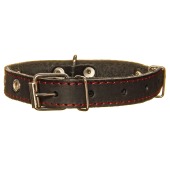 Ошейник кожаный СТАНДАРТ 2 см, до 44 см, ЧЁРНЫЙ, ДАРЭЛЛ