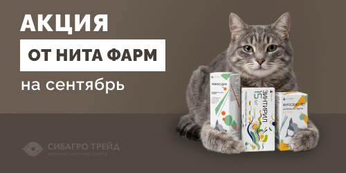 Акции от Нита Фарм на сентябрь