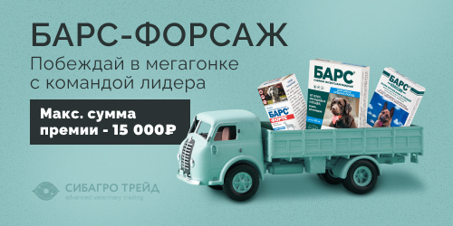 Барс - Форсаж! Побеждай в мегагонке с командой лидера!