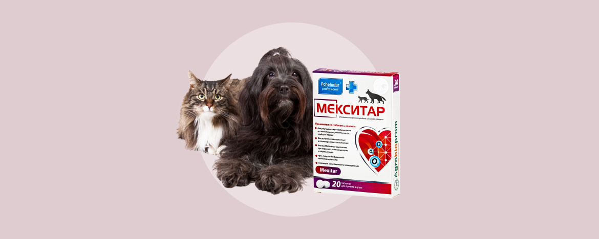 Зоосат интернет магазин. Мекситар для кошек. Ветеринарные биологические препараты. Мекситар для собак и кошек инструкция. Мекситар (вет) итальянский.