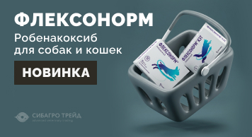 Новинка! Флексонорм (робенакоксиб) для собак и кошек