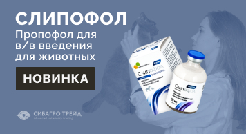 Новинка! Слипофол - пропофол для в/в введения для животных