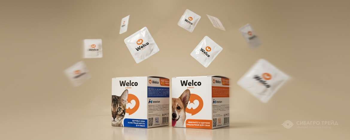 В наличии! Лакомства Welco для кошек и собак В наличии! Лакомства Welco для кошек и собак