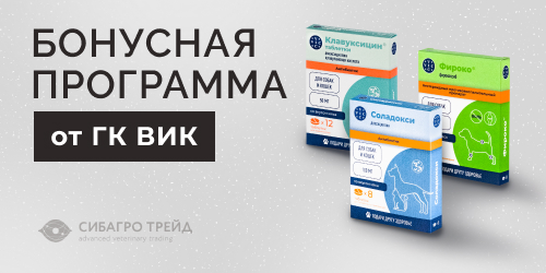 Бонусная программа от ГК ВИК