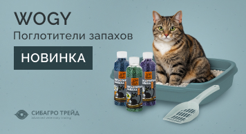 Новинка! Поглотители запахов WOGY