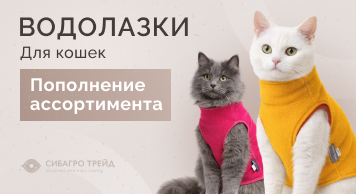 Водолазки для кошек: пополнение ассортимента