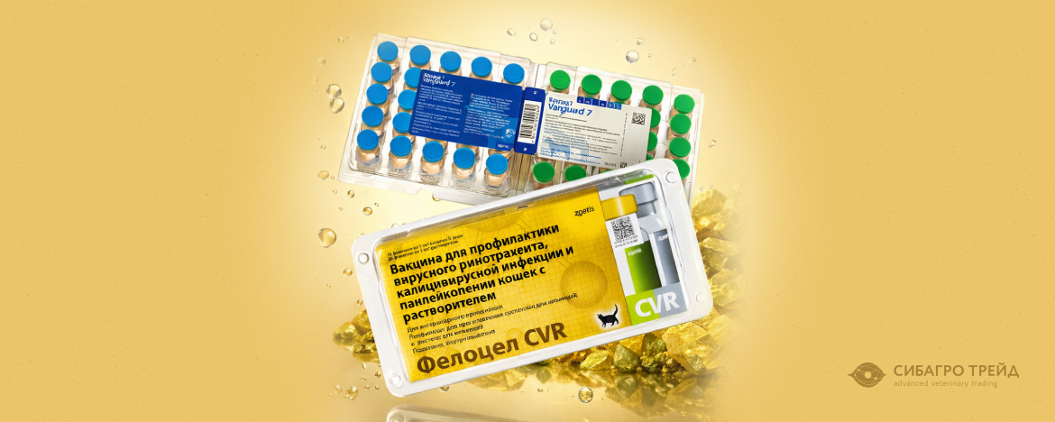 В наличии! Вакцины ZOETIS: Фелоцел CVR и Вангард-7 В наличии! Вакцины ZOETIS: Фелоцел CVR и Вангард-7