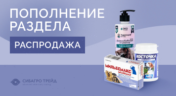 Пополнение раздела Распродажа