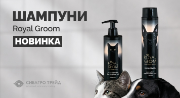 Новинка! Шампуни Royal Groom