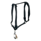 Шлейка CHAMPION P размер XXL (ОШ 62 - 104 см, ОГ 78 - 120 см, ширина 1 см), черный, FERPLAST