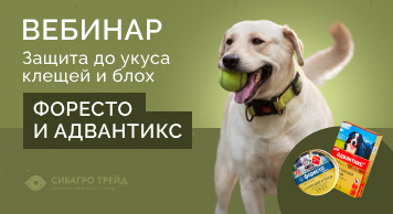 Вебинар: Защита до укуса клещей и блох (Форесто и Адвантикс). Лектор Александра Филиппова - специалист компании Эланко