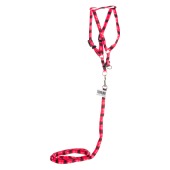 Комплект шлейка и поводок, капрон №10, ЧК