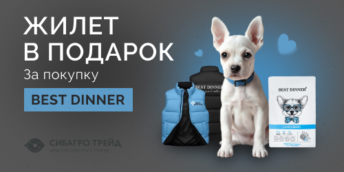 Жилет в подарок за покупку Best Dinner