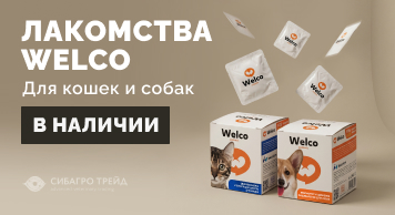 В наличии! Лакомства Welco для кошек и собак