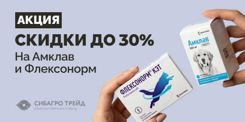 Скидки до 30% на Амклав и Флексонорм