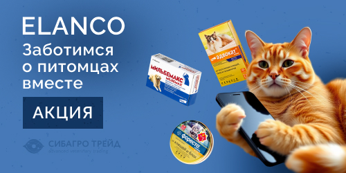 Акция от ELANCO! Заботимся о питомцах вместе