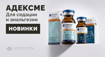 Новинка! Адексме