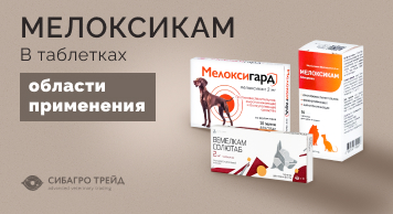 Мелоксикам в таблетках. Области применения