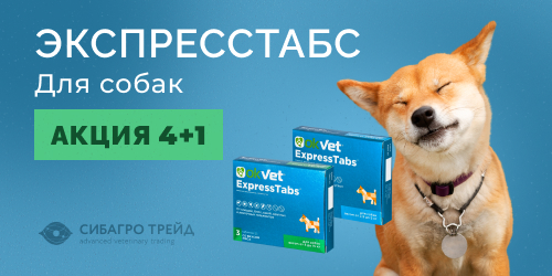 Акция на ЭкспрессТабс для собак 4+1