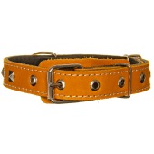 Ошейник кожаный 25(2) украшенный цветной, ZOOМИР
