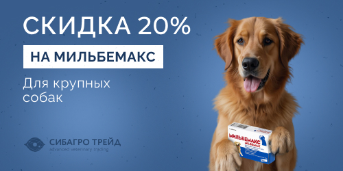 Скидка 20% на Мильбемакс для крупных собак