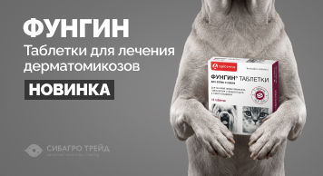 Новинка! Фунгин таблетки – для лечения дерматомикозов: трихофитии, микроспории и кандидоза у собак и кошек