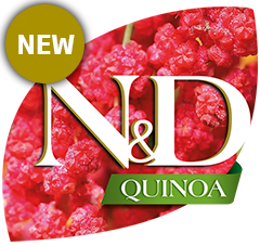4quinoa.png 4quinoa.png